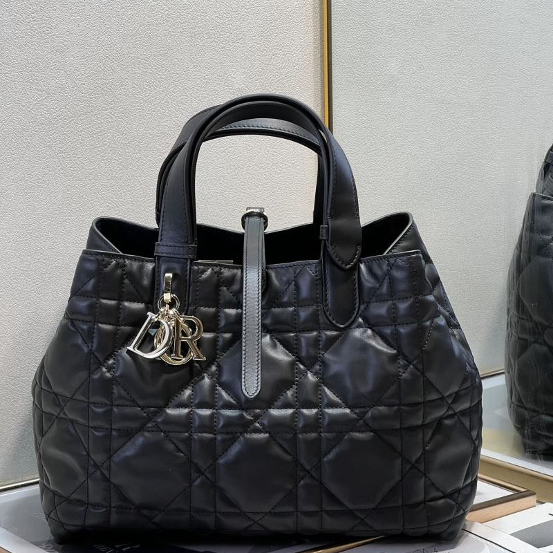 Christian Dior Other Bags - Click Image to Close